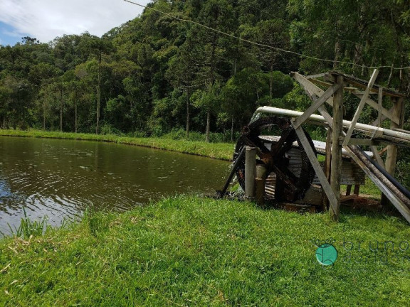 Imagem Imóvel com 3 Quartos à Venda, 350.000 m² em Zona Rural - Bom Retiro Imagem Imóvel com 3 Quartos à Venda, 350.000 m² em Zona Rural - Bom Retiro