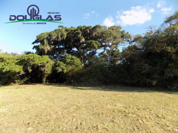 Imagem Chácara à Venda, 8 m² em águas Claras - Viamão