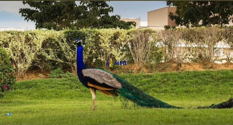 Imagem Casa de Condomínio com 4 Quartos à Venda, 300 m² em Condomínio Residencial Ibiti Royal Park - Sorocaba Imagem Casa de Condomínio com 4 Quartos à Venda, 300 m² em Condomínio Residencial Ibiti Royal Park - Sorocaba