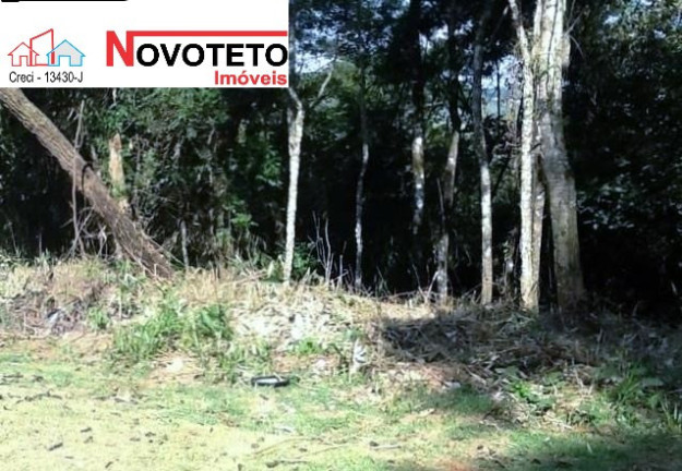 Imagem Imóvel com 3 Quartos à Venda, 250 m² em Sarapuí - Sarapuí Imagem Imóvel com 3 Quartos à Venda, 250 m² em Sarapuí - Sarapuí