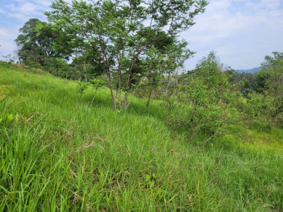 Imagem Terreno à Venda, 13 m² em Ponte Nova - Extrema Imagem Terreno à Venda, 13 m² em Ponte Nova - Extrema