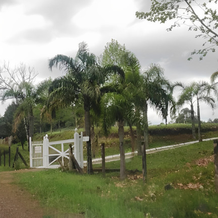 Imagem Imóvel com 4 Quartos à Venda, 150 m² em Vila Seca - Caxias Do Sul