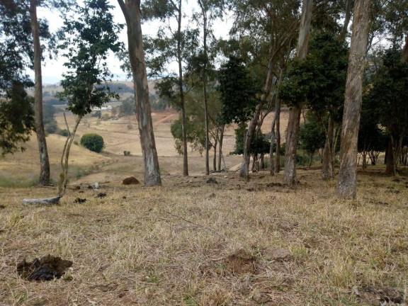 Imagem Chácara com 3 Quartos à Venda, 532 m² em Zona Rural - Cambuí Imagem Chácara com 3 Quartos à Venda, 532 m² em Zona Rural - Cambuí