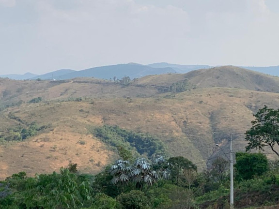 Imagem Imóvel à Venda, 1.000 m² em Mirante Da Mata - Nova Lima Imagem Imóvel à Venda, 1.000 m² em Mirante Da Mata - Nova Lima
