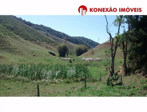 Imagem Fazenda à Venda, 100 m² em Pouso Alto - Natividade Da Serra Imagem Fazenda à Venda, 100 m² em Pouso Alto - Natividade Da Serra