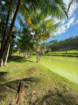 Imagem Chácara com 6 Quartos à Venda, 55.000 m² em Belo Oriente Imagem Chácara com 6 Quartos à Venda, 55.000 m² em Belo Oriente