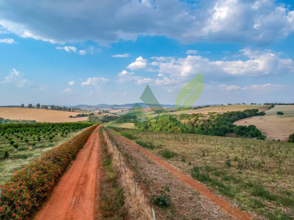Imagem Fazenda à Venda, 268.000 m² em Jardim Santa Rita De Cássia - Bragança Paulista Imagem Fazenda à Venda, 268.000 m² em Jardim Santa Rita De Cássia - Bragança Paulista