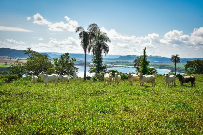 Imagem Fazenda à Venda, 2.000 m² em Zona Rural - Conquista Imagem Fazenda à Venda, 2.000 m² em Zona Rural - Conquista