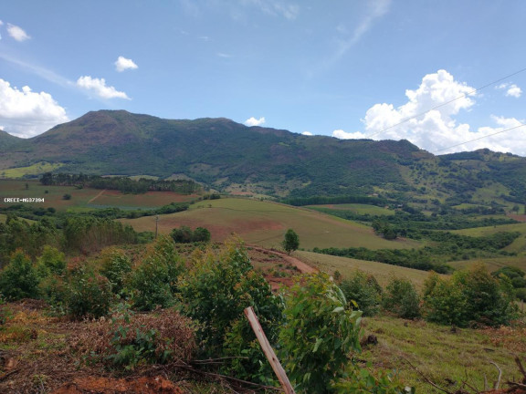 Imagem Terreno à Venda, 575 m² em Br459 - Caldas Imagem Terreno à Venda, 575 m² em Br459 - Caldas