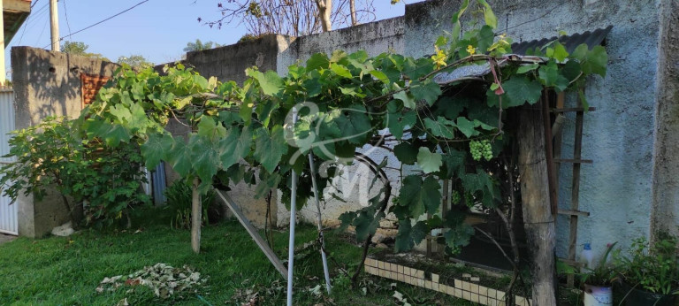 Imagem Imóvel com 2 Quartos à Venda, 1.000 m² em Roseira - Jundiaí Imagem Imóvel com 2 Quartos à Venda, 1.000 m² em Roseira - Jundiaí