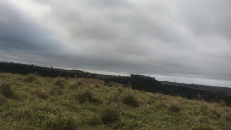 Imagem Fazenda à Venda, 59 m² em Rural - São Miguel Arcanjo
