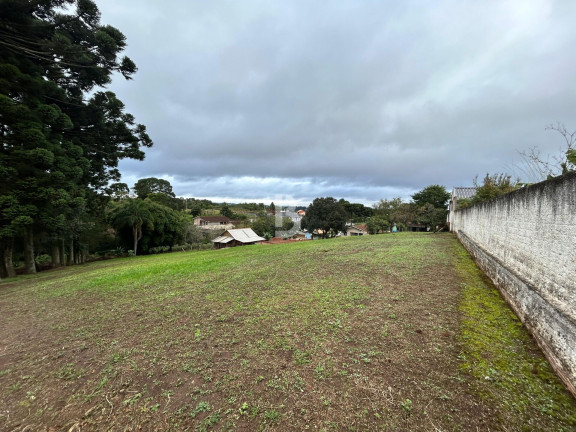 Imagem Terreno à Venda, 2.600 m² em Vila Bancária - Campo Largo Imagem Terreno à Venda, 2.600 m² em Vila Bancária - Campo Largo