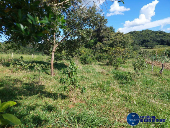 Imagem Chácara à Venda, 4 m² em Zona Rural - Caldas Novas Imagem Chácara à Venda, 4 m² em Zona Rural - Caldas Novas