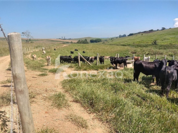 Imagem Fazenda à Venda, 150 m² em Marambaia - Caçapava Imagem Fazenda à Venda, 150 m² em Marambaia - Caçapava