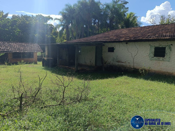 Imagem Fazenda à Venda, 37 m² em Zona Rural - Jussara Imagem Fazenda à Venda, 37 m² em Zona Rural - Jussara
