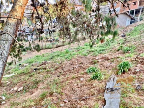 Imagem Terreno à Venda, 360 m² em Jardim Márcia - Campos Do Jordão Imagem Terreno à Venda, 360 m² em Jardim Márcia - Campos Do Jordão