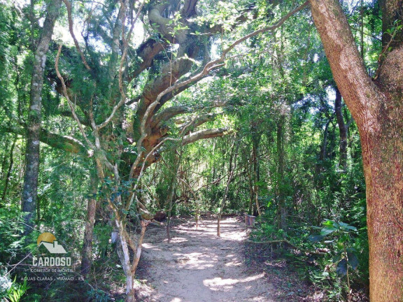 Imagem Fazenda à Venda, 150 m² em águas Claras - Viamão Imagem Fazenda à Venda, 150 m² em águas Claras - Viamão