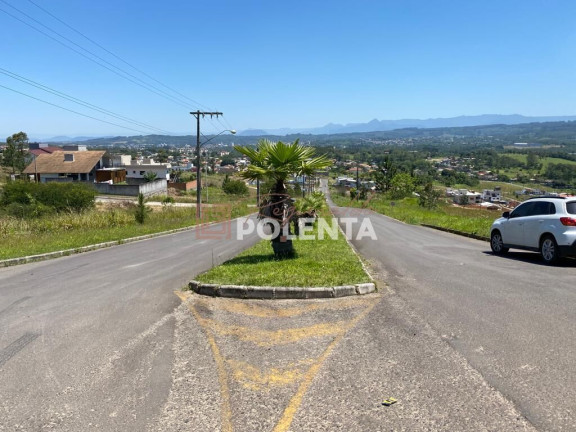 Imagem Terreno à Venda, 434 m² em Mina Do Mato - Criciúma