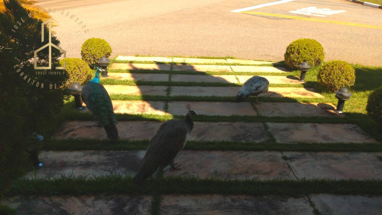 Imagem Casa de Condomínio com 4 Quartos para Alugar, 510 m² em Jardim Ibiti Do Paço - Sorocaba
