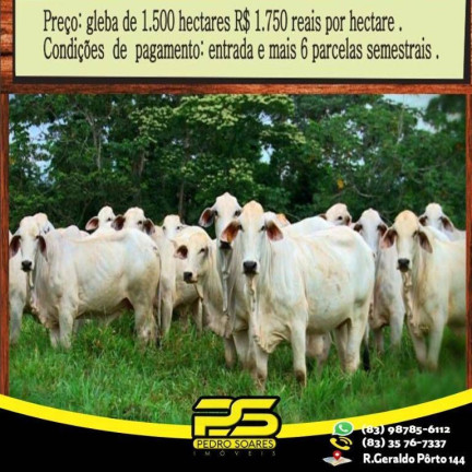 Imagem Fazenda à Venda, 150 m² em Centro - Rio Branco Imagem Fazenda à Venda, 150 m² em Centro - Rio Branco