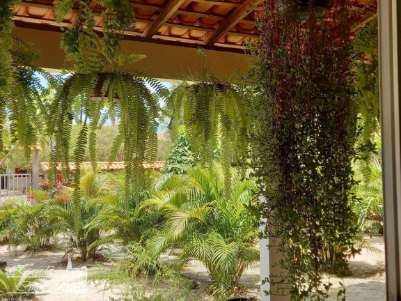 Imagem Fazenda à Venda, 1.600 m² em Imirizal - Salvaterra Imagem Fazenda à Venda, 1.600 m² em Imirizal - Salvaterra