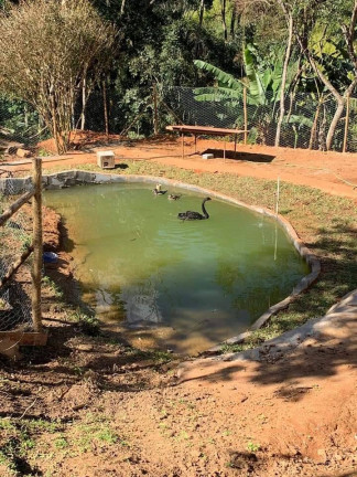 Chácara com 3 Quartos à Venda, 81 m² em Riograndina - Nova Friburgo