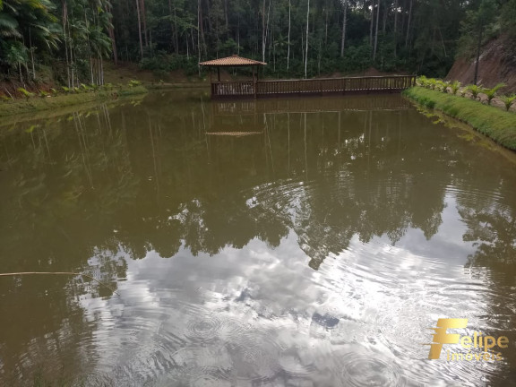 Imagem Casa com 4 Quartos à Venda, 270 m² em Domingos Martins - Domingos Martins