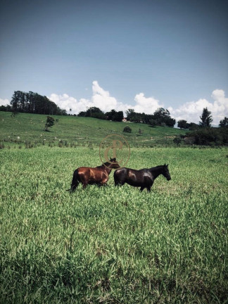 Imagem Fazenda à Venda, 6.000 m² em Chacara Do Moinho - Cachoeira Paulista