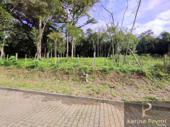 Imagem Terreno à Venda, 300 m² em Campestre - São Leopoldo