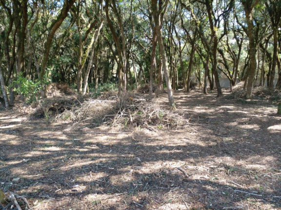 Imagem Terreno à Venda, 20.000 m² em Campo Largo Da Roseira - São José Dos Pinhais Imagem Terreno à Venda, 20.000 m² em Campo Largo Da Roseira - São José Dos Pinhais