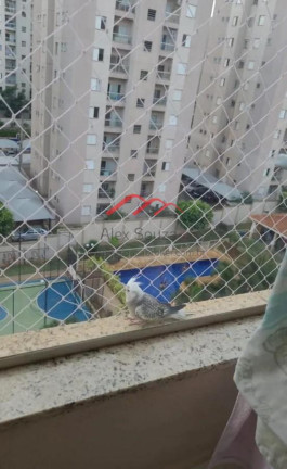 Imagem Apartamento com 2 Quartos à Venda, 57 m² em Vila São Pedro - Hortolândia Imagem Apartamento com 2 Quartos à Venda, 57 m² em Vila São Pedro - Hortolândia