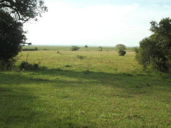 Imagem Chácara à Venda, 8 m² em águas Claras - Viamão Imagem Chácara à Venda, 8 m² em águas Claras - Viamão
