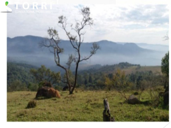Imagem Terreno à Venda, 303.675 m² em Centro - Santana De Parnaíba Imagem Terreno à Venda, 303.675 m² em Centro - Santana De Parnaíba