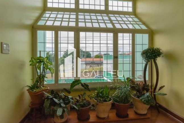 Imagem Casa com 4 Quartos à Venda, 416 m² em Jardim Eulina - Campinas Imagem Casa com 4 Quartos à Venda, 416 m² em Jardim Eulina - Campinas
