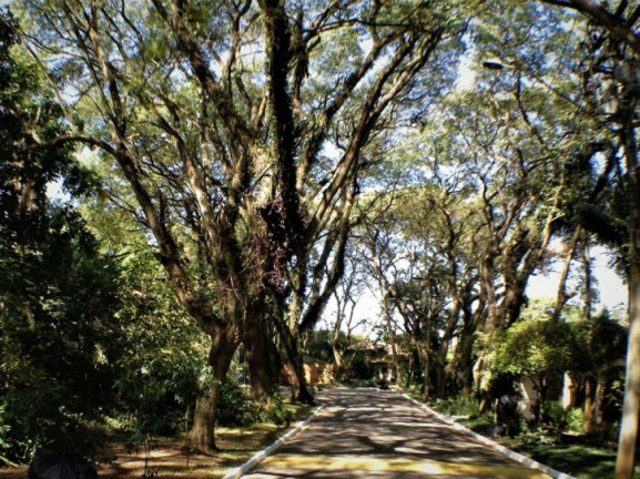 Imagem Terreno em Condomínio à Venda,  em Vila Vianna - Cotia