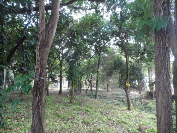 Imagem Imóvel à Venda, 3.200 m² em Protestantes - Votorantim Imagem Imóvel à Venda, 3.200 m² em Protestantes - Votorantim