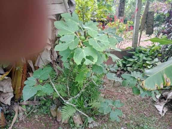 Imóvel com 3 Quartos à Venda, 87 m² em Chácara Recreio Internacional - Suzano