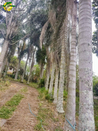 Imagem Chácara com 4 Quartos à Venda, 250 m² em Ibiúna