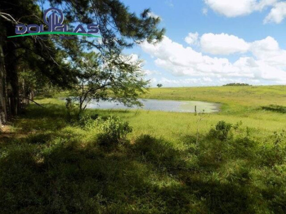 Imagem Chácara com 2 Quartos à Venda, 190.000 m² em Viamão