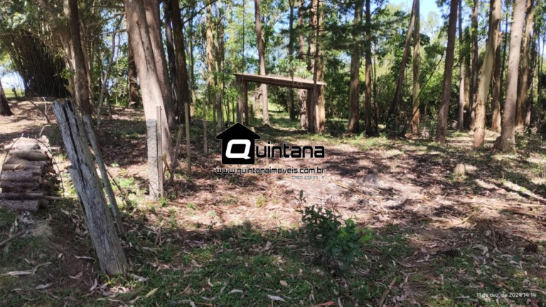 Imagem Imóvel com 2 Quartos à Venda, 50.000 m² em Capela Da Buena - Morro Redondo Imagem Imóvel com 2 Quartos à Venda, 50.000 m² em Capela Da Buena - Morro Redondo