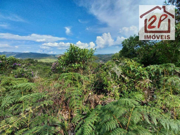 Imagem Terreno à Venda, 10.000 m² em São Benedito - Monteiro Lobato Imagem Terreno à Venda, 10.000 m² em São Benedito - Monteiro Lobato