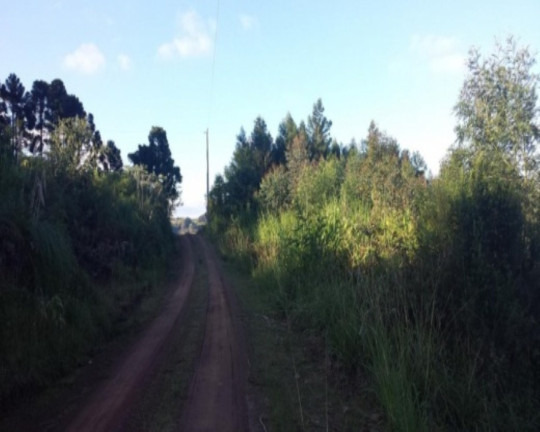 Imagem Terreno à Venda, 1 m² em São Jacó - Nova Petrópolis Imagem Terreno à Venda, 1 m² em São Jacó - Nova Petrópolis