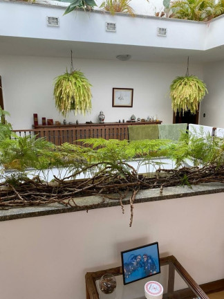 Imagem Casa com 6 Quartos à Venda, 1.178 m² em Jardim Petrópolis - São Paulo