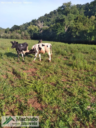 Imagem Terreno à Venda, 480.000 m² em Rural - Erval Seco Imagem Terreno à Venda, 480.000 m² em Rural - Erval Seco