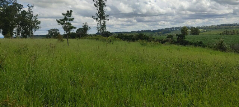 Imagem Chácara à Venda, 6 m² em Bom Retiro - Porto Feliz Imagem Chácara à Venda, 6 m² em Bom Retiro - Porto Feliz