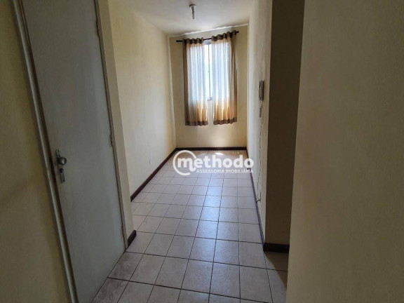 Imagem Apartamento com 2 Quartos à Venda, 66 m² em Jardim Ipiranga - Campinas Imagem Apartamento com 2 Quartos à Venda, 66 m² em Jardim Ipiranga - Campinas