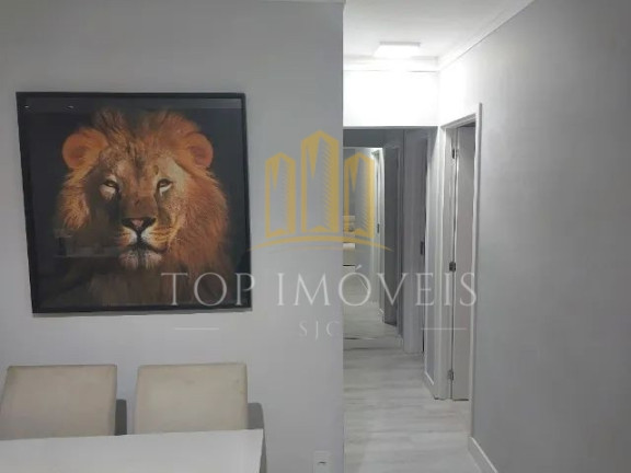 Imagem Apartamento com 3 Quartos à Venda, 63 m² em Jardim América - São José Dos Campos
