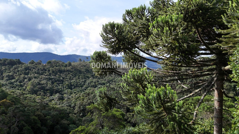 Imagem Terreno à Venda, 1.275 m² em Região Do Parque Pedra Do Baú - Campos Do Jordão Imagem Terreno à Venda, 1.275 m² em Região Do Parque Pedra Do Baú - Campos Do Jordão