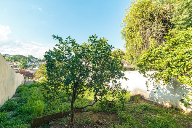 Imagem Casa com 2 Quartos à Venda, 144 m² em Chácara Das Pedras - Porto Alegre Imagem Casa com 2 Quartos à Venda, 144 m² em Chácara Das Pedras - Porto Alegre