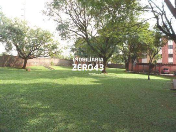 Imagem Apartamento com 2 Quartos para Alugar, 45 m² em Gleba Fazenda Palhano - Londrina Imagem Apartamento com 2 Quartos para Alugar, 45 m² em Gleba Fazenda Palhano - Londrina